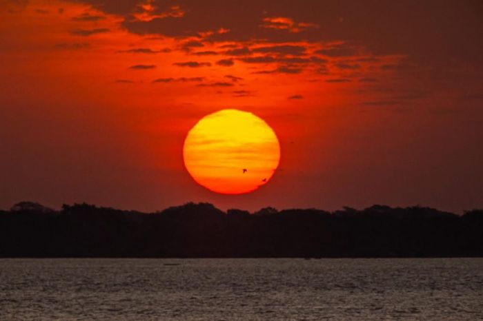 WhatsApp Image 2023-04-08 at 18.11.09.jpeg